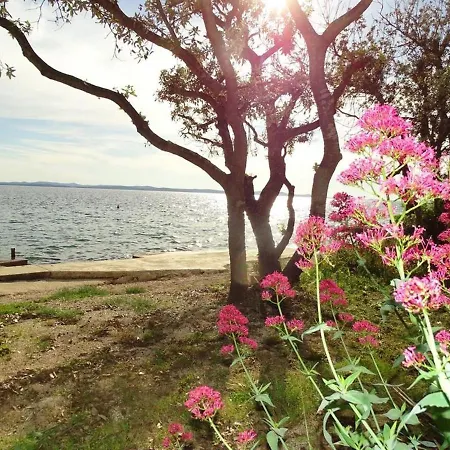 Apartment-vlahov Apartament Gornji Poloj